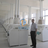 220T Wheat Flour Mill Machine