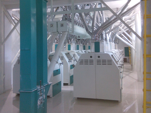 100T Wheat Flour Mill