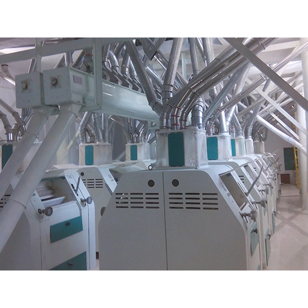 120T Wheat Flour Mill Machine