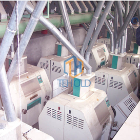 100T Wheat Flour Mill Machine 