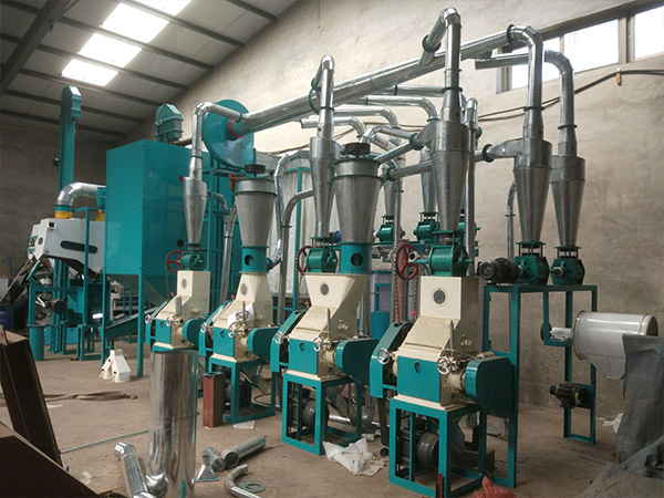 15T Wheat Flour Mill