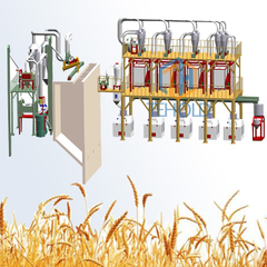 50T Wheat Flour Mill Machine 