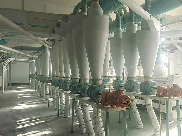 300T Wheat Flour Mill
