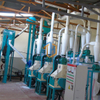 20T Maize Mill Machine