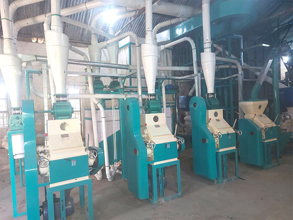 20T Maize Mill